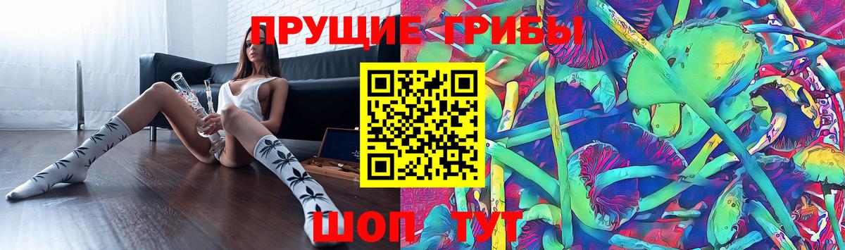 Псилоцибиновые грибы Psilocybe Кыштым